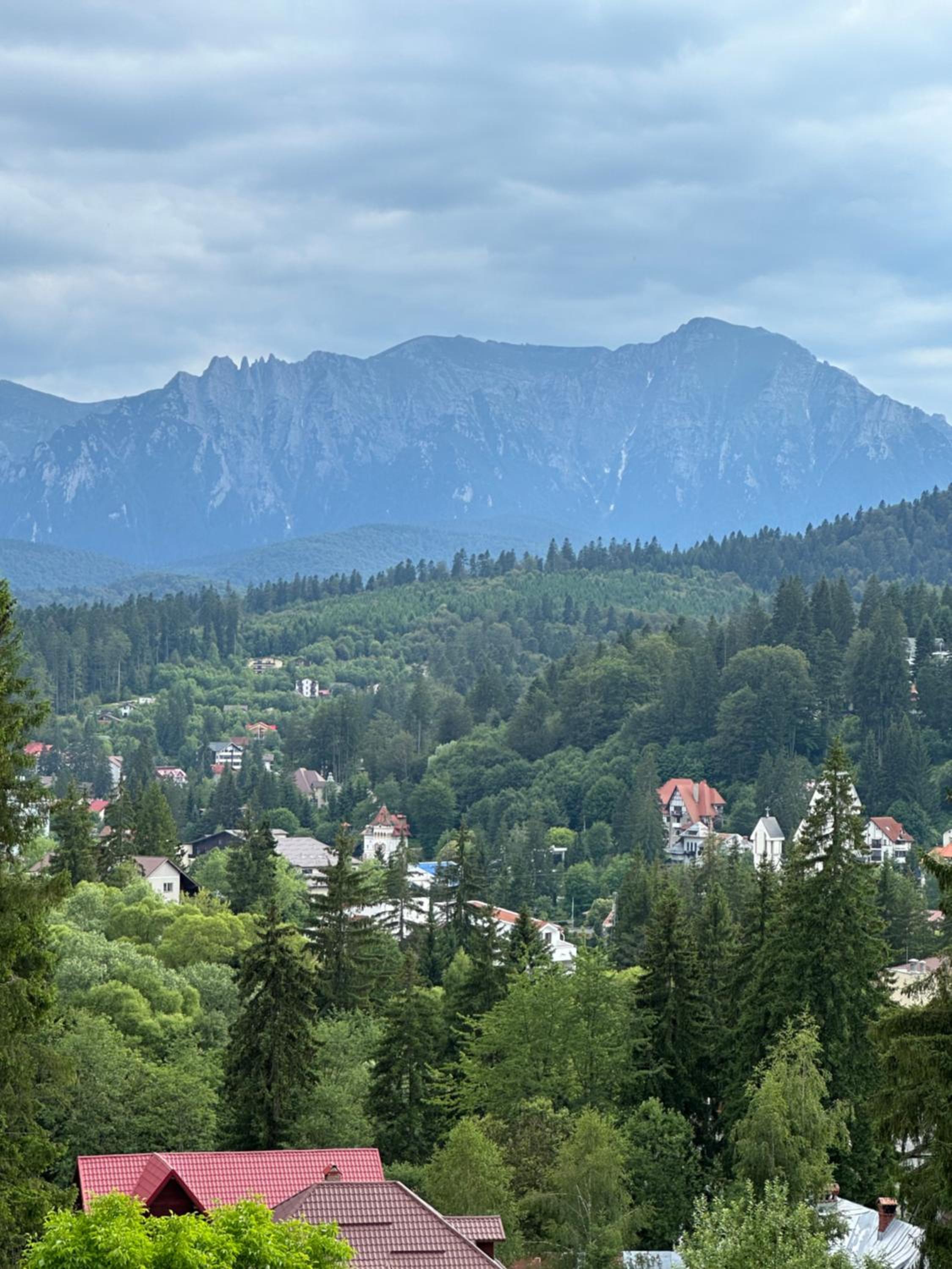Pine Peak