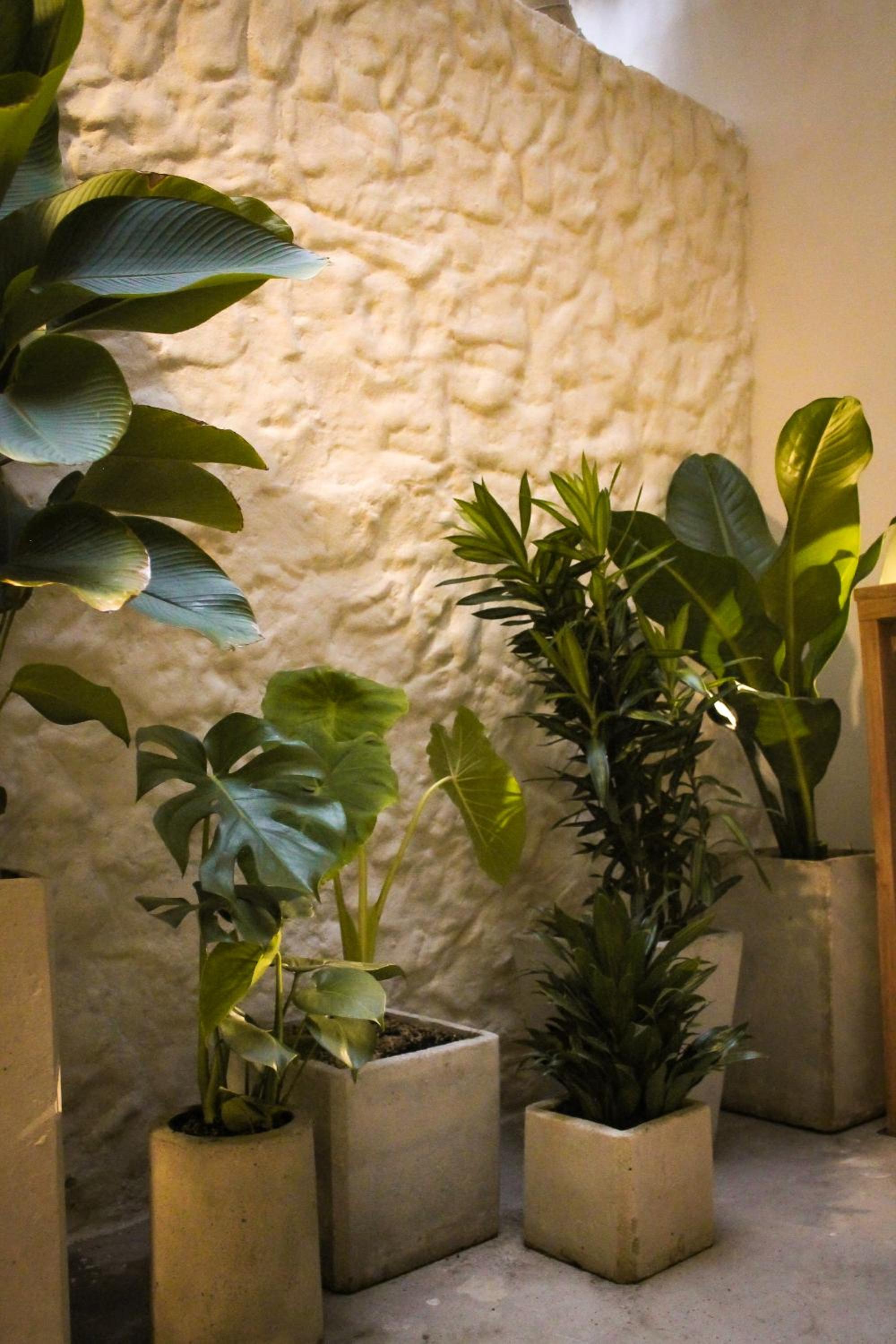 Mascomunal hostel