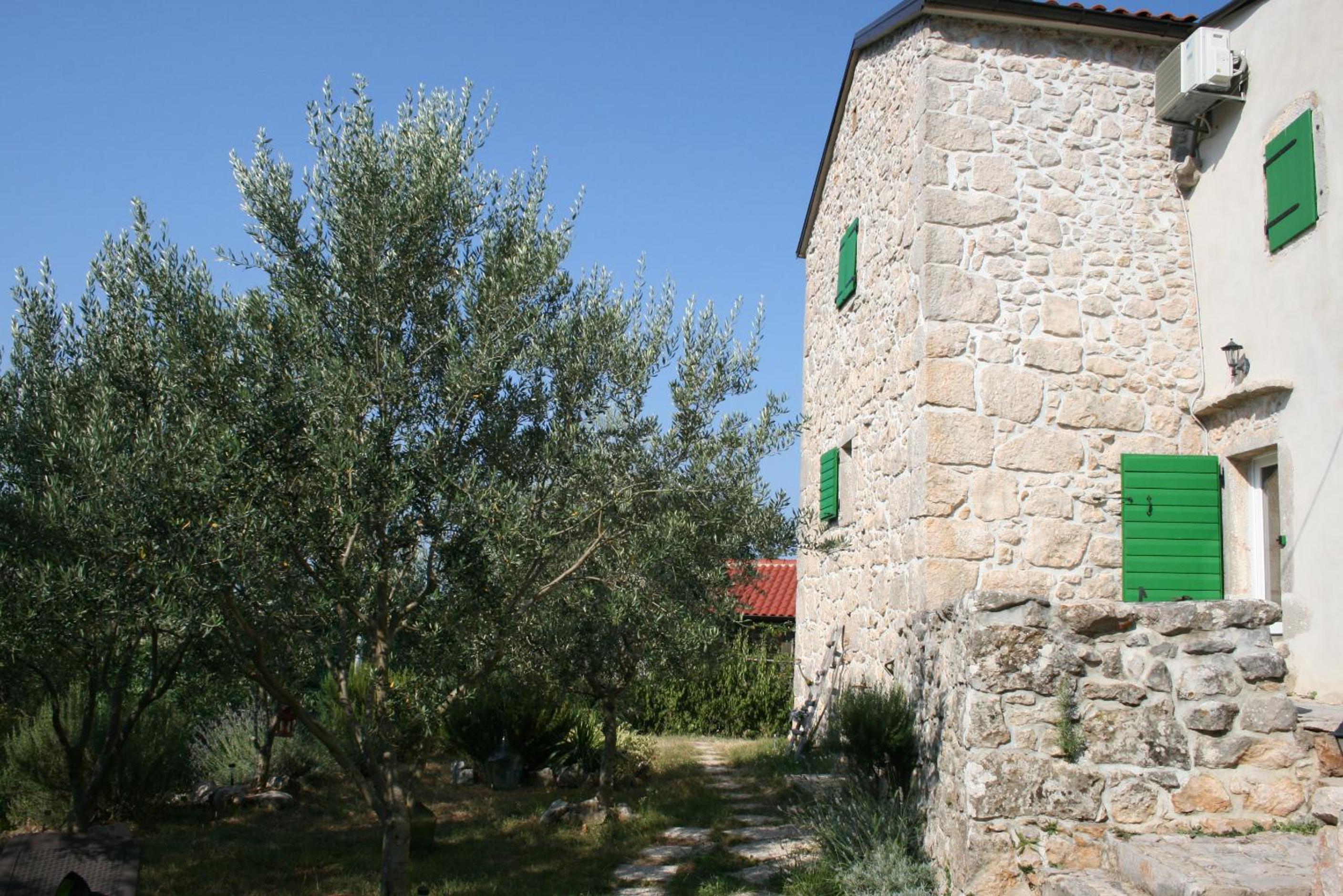 Photo 15