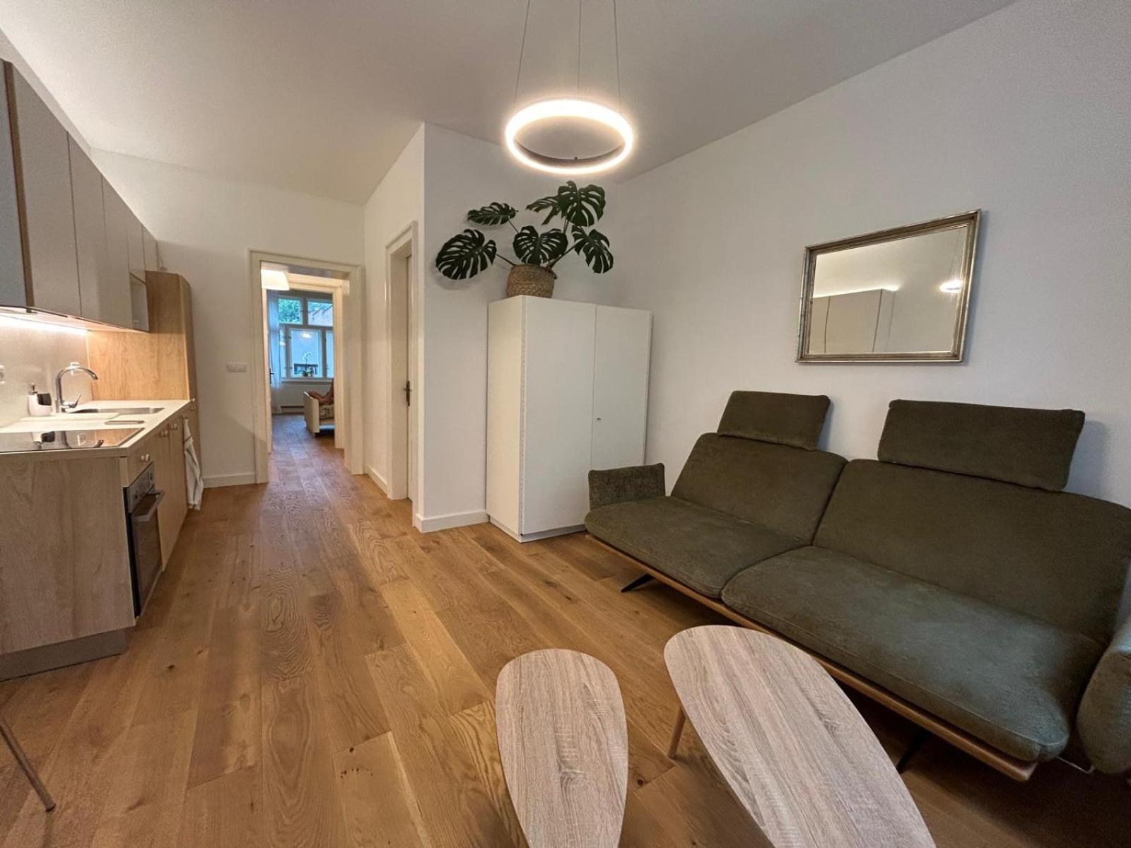 Original apartment with garden in Pisek
