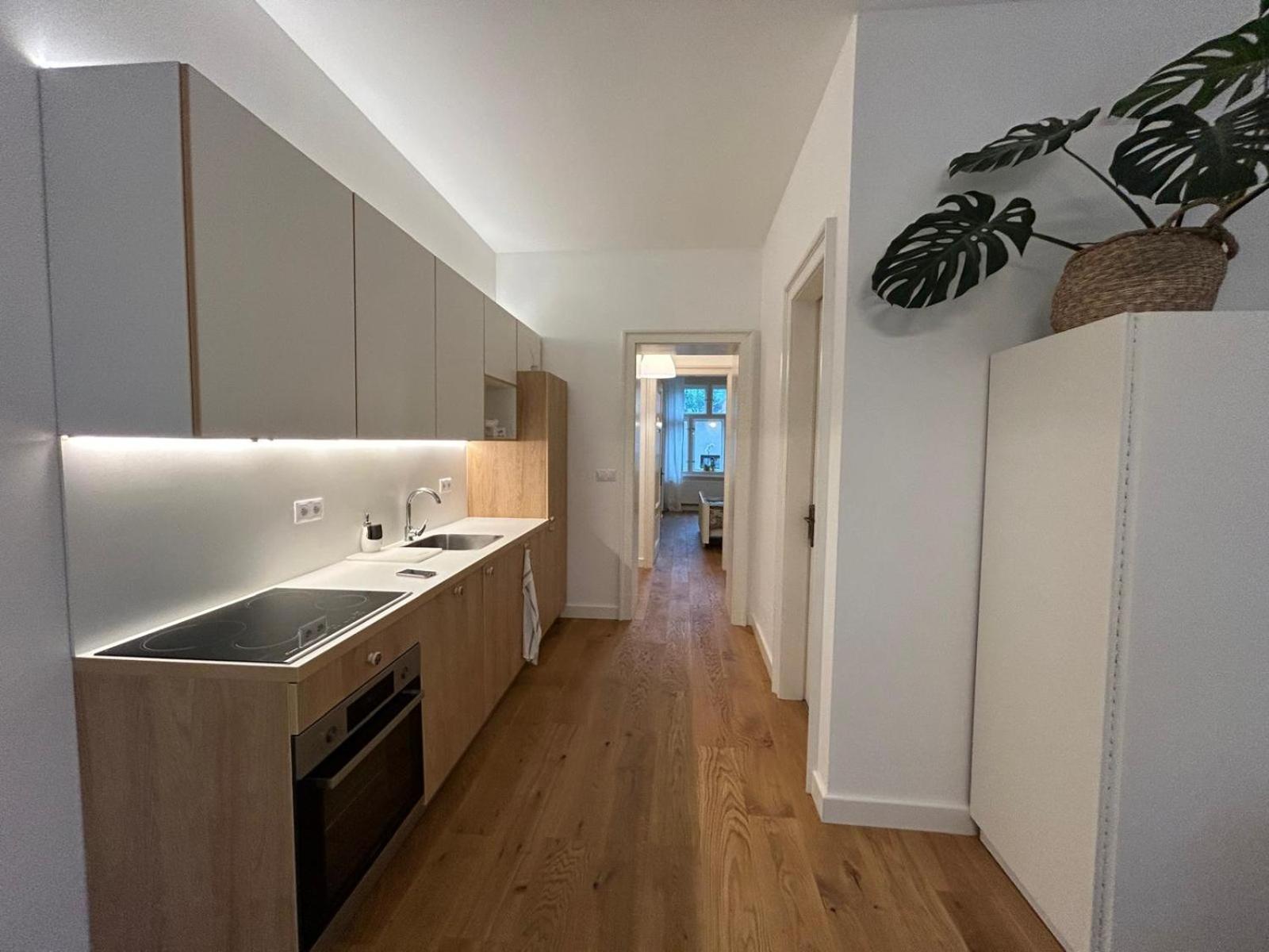 Original apartment with garden in Pisek