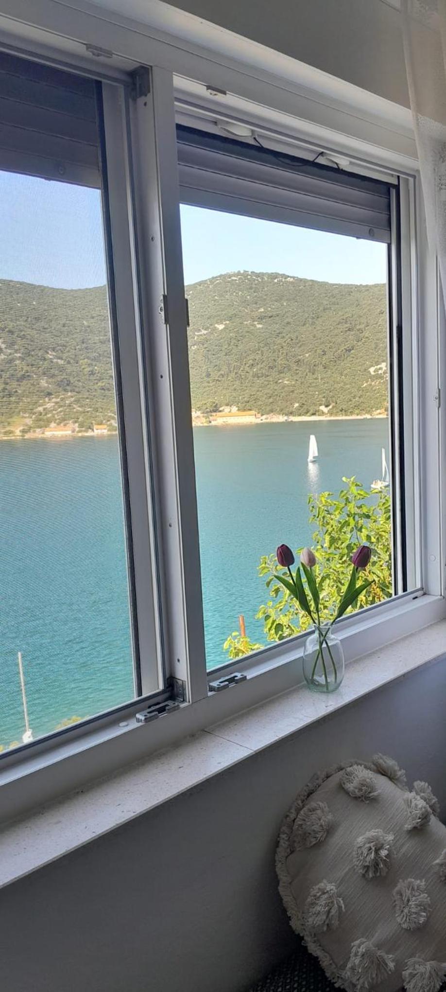 Apartman Vito