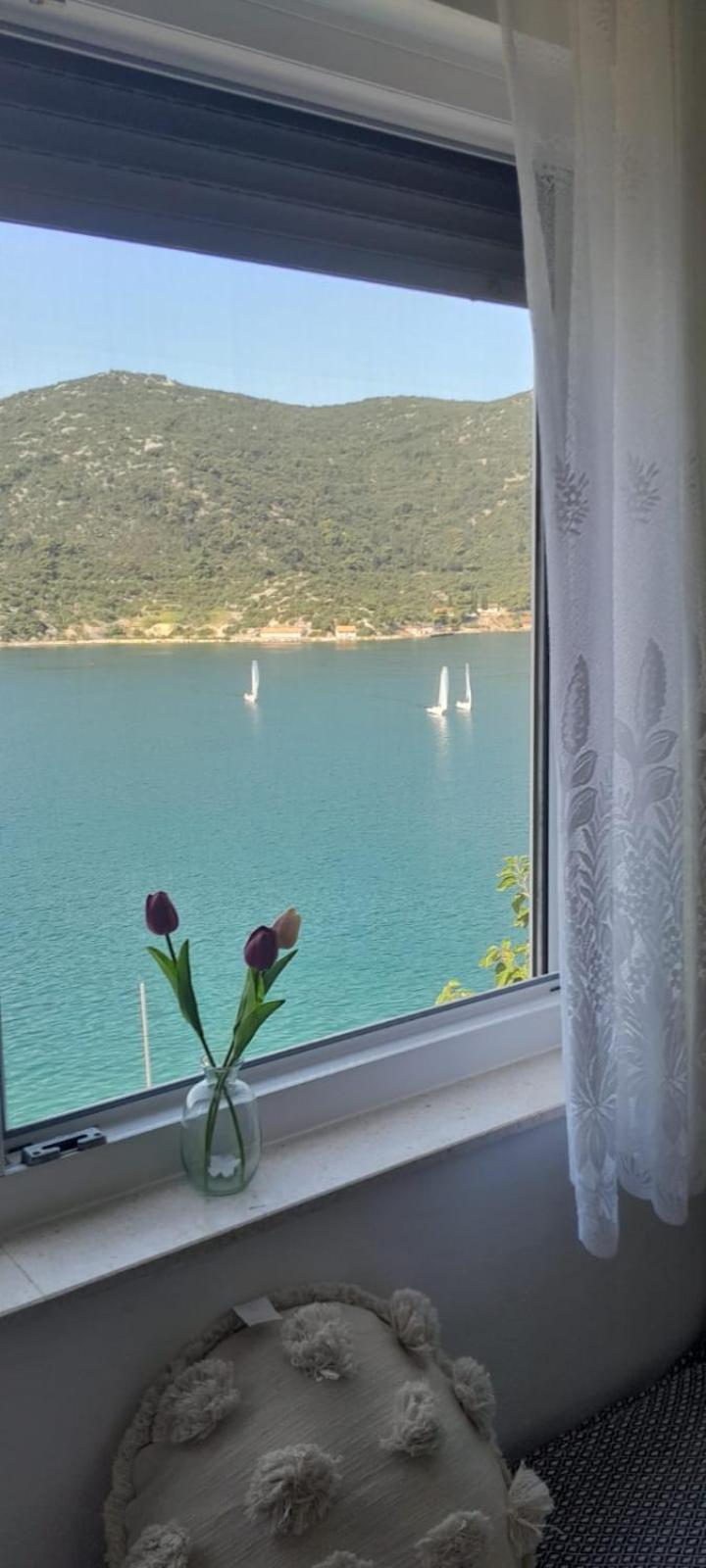 Apartman Vito