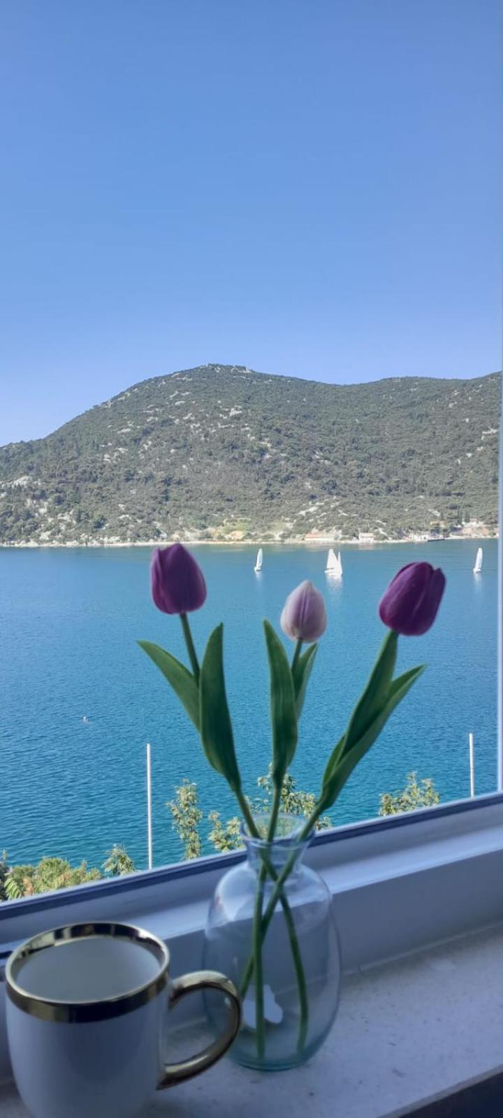 Apartman Vito
