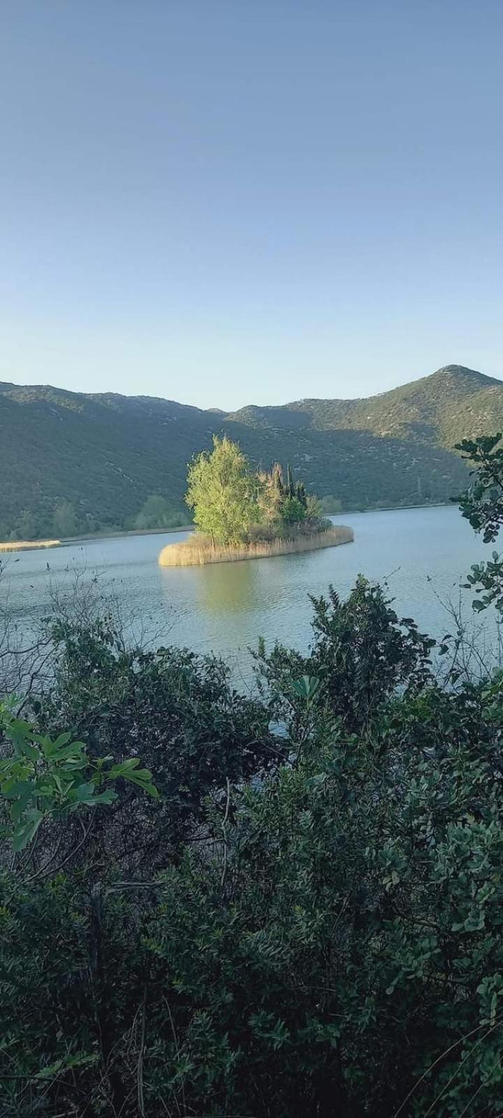 Apartman Vito
