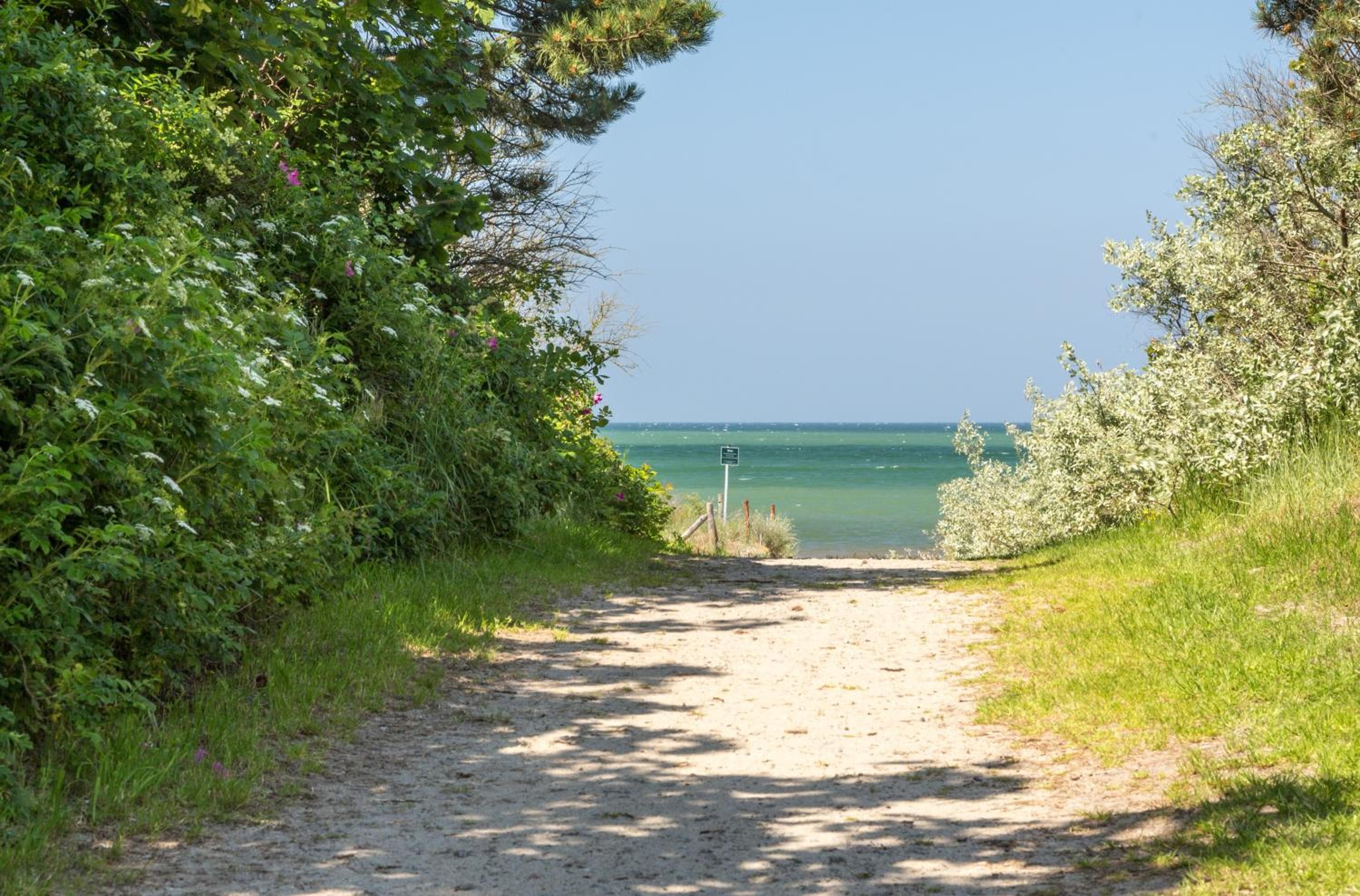 Villa Schmidt Apartments - Strandhaus direkt am Meer mit Sauna, Sport und Dünengarten - Studio