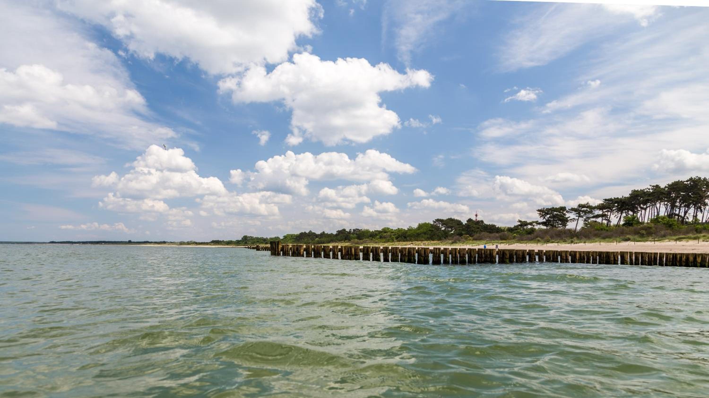 Villa Schmidt Apartments - Strandhaus direkt am Meer mit Sauna, Sport und Dünengarten - Studio