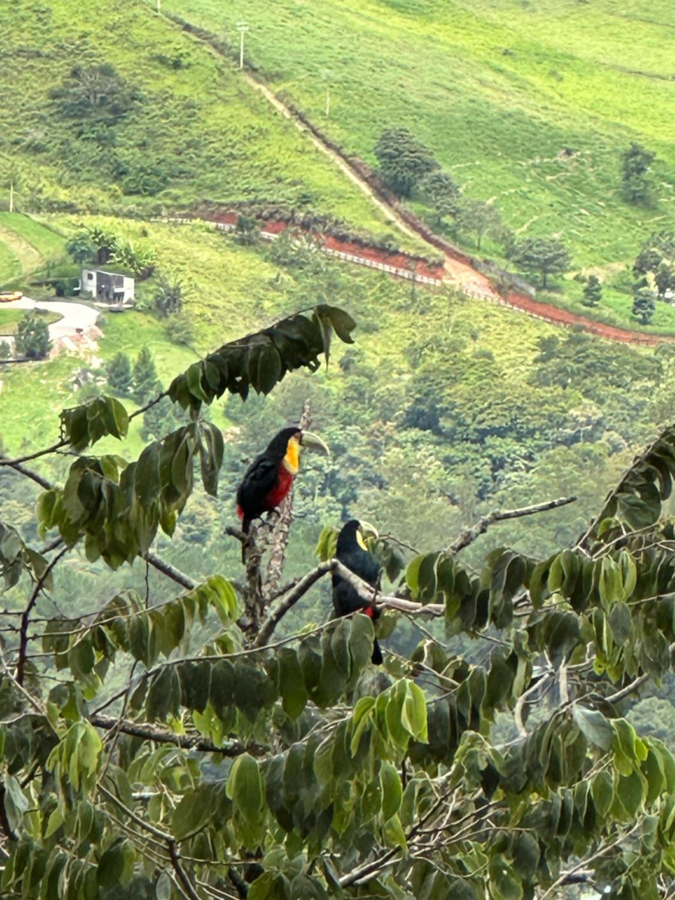 Universo Vale do Baú