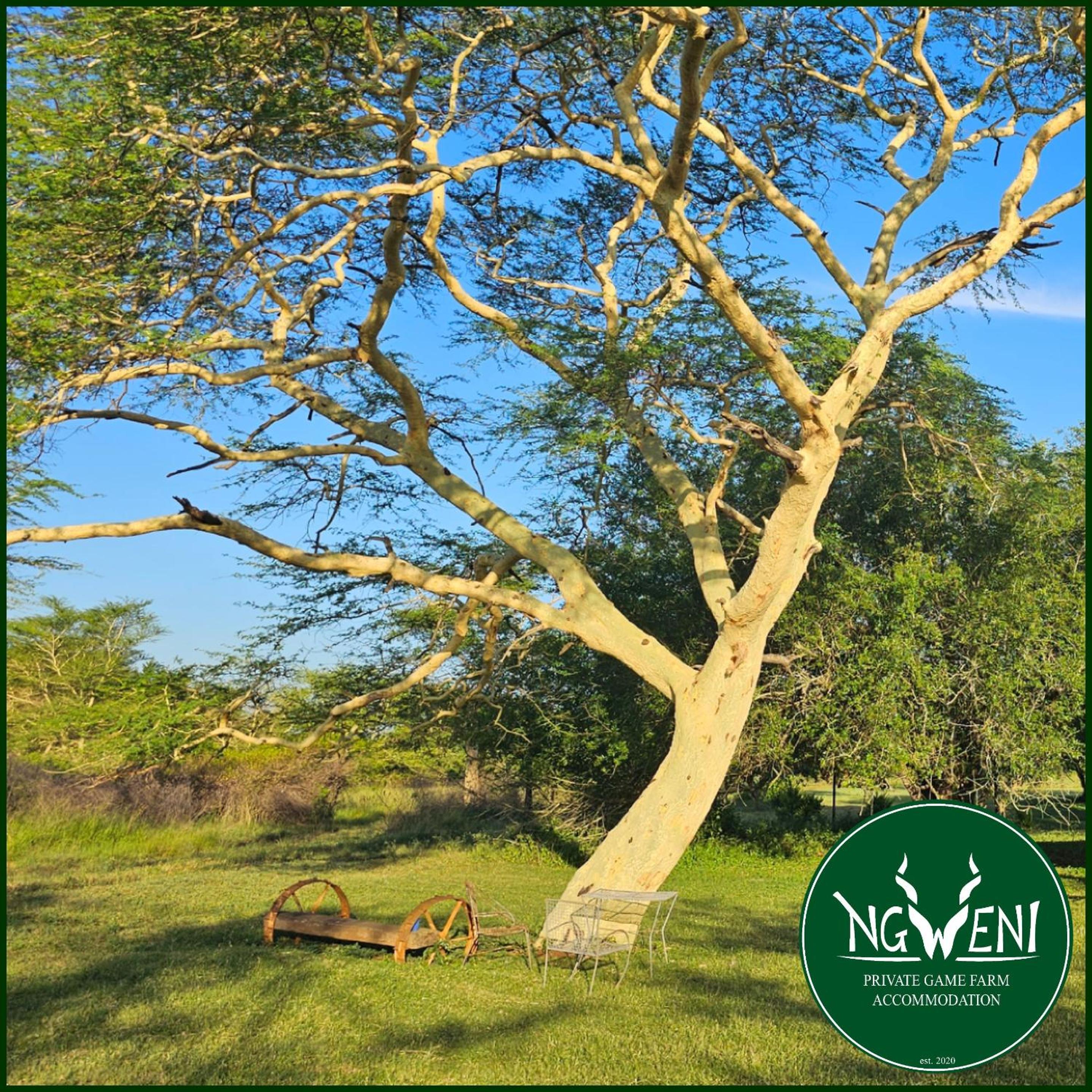 Hluhluwe Vacations - Verdiend En-suite Unit at Ngweni Private Game Farm - Property Image 12
