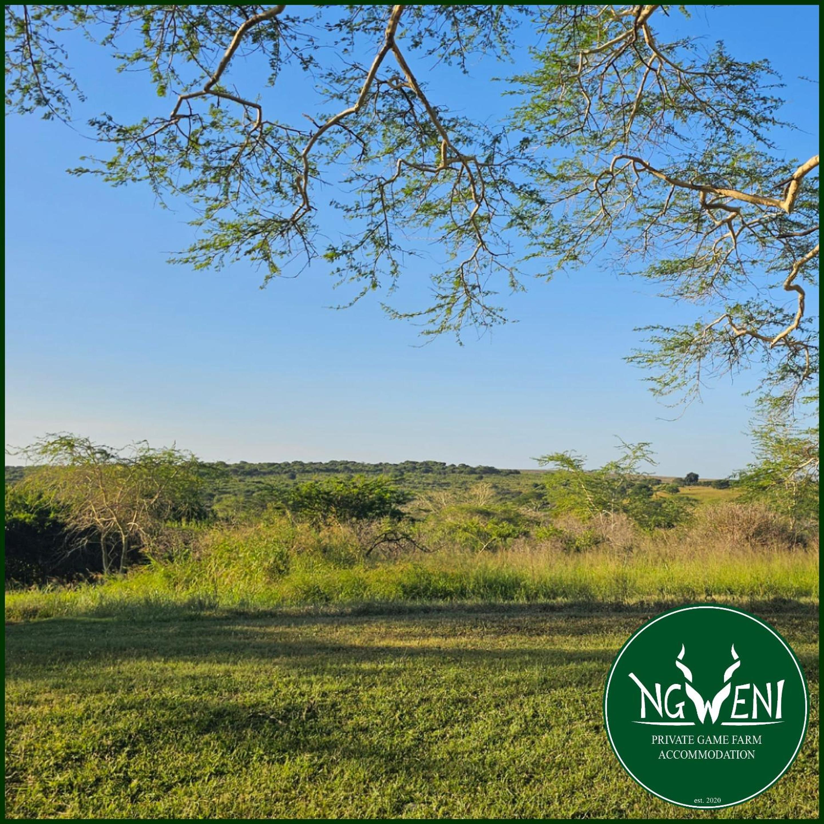 Hluhluwe Vacations - Verdiend En-suite Unit at Ngweni Private Game Farm - Property Image 11