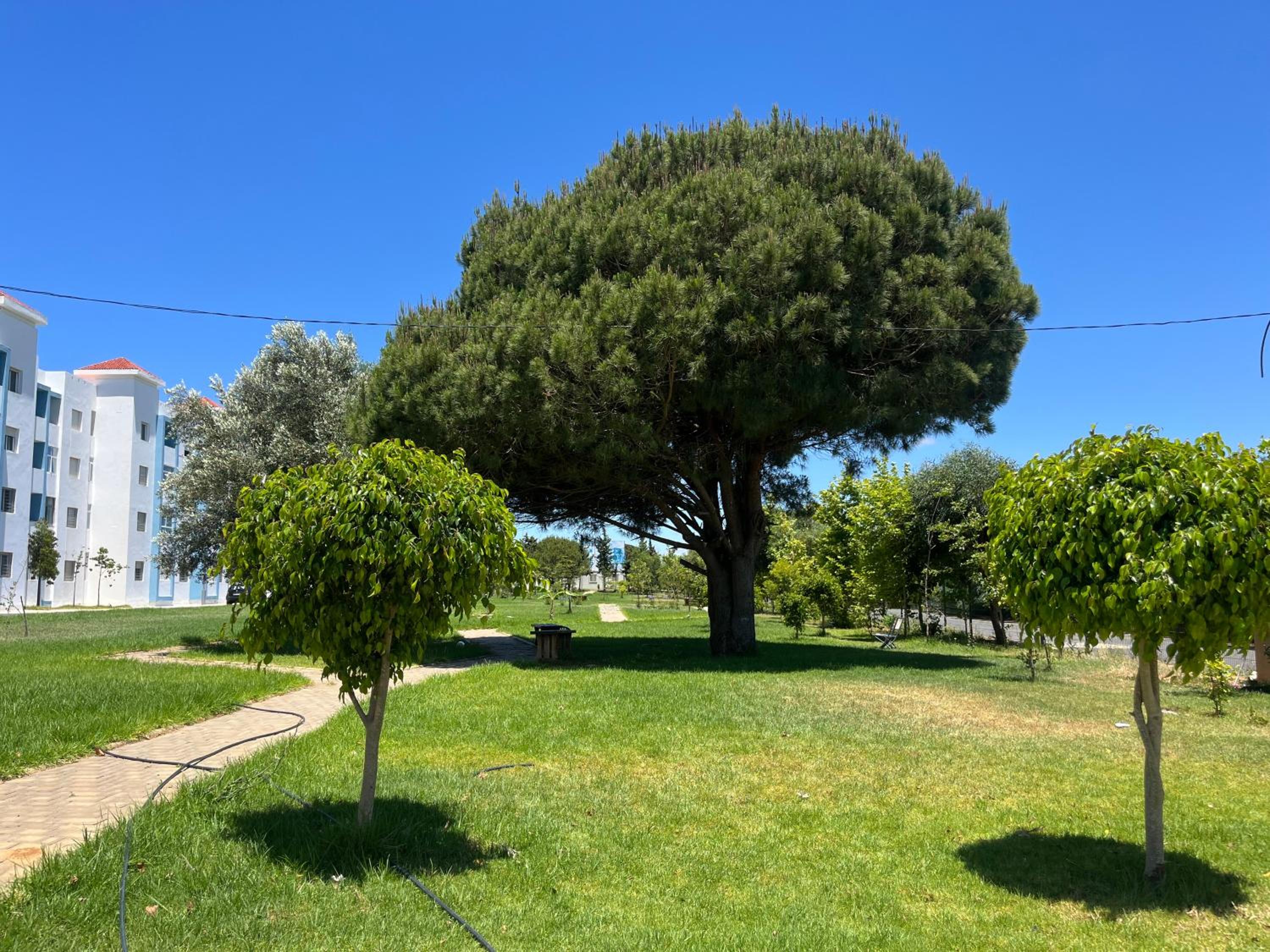 Photo 24