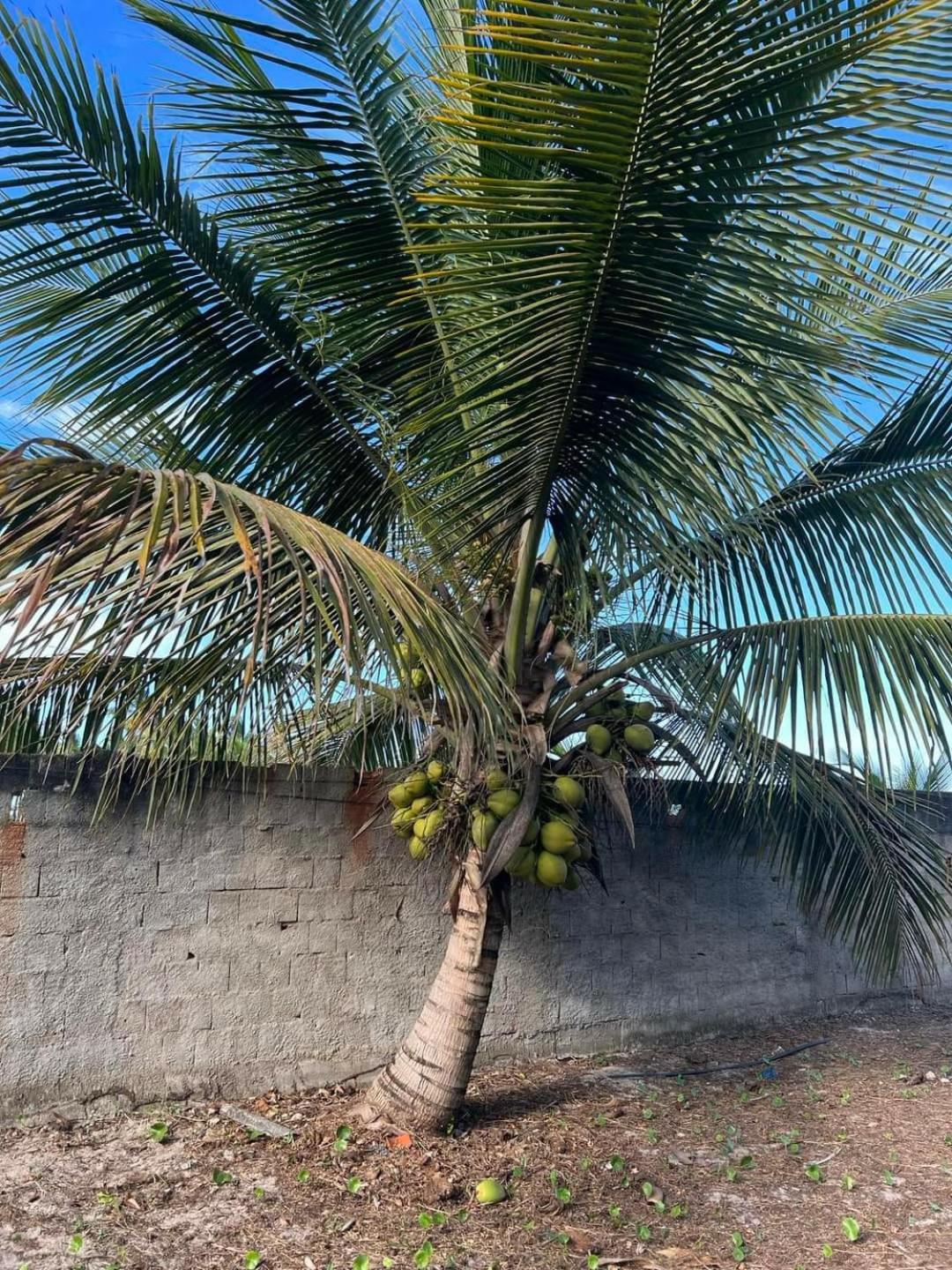Casa frente ao mar com piscina
