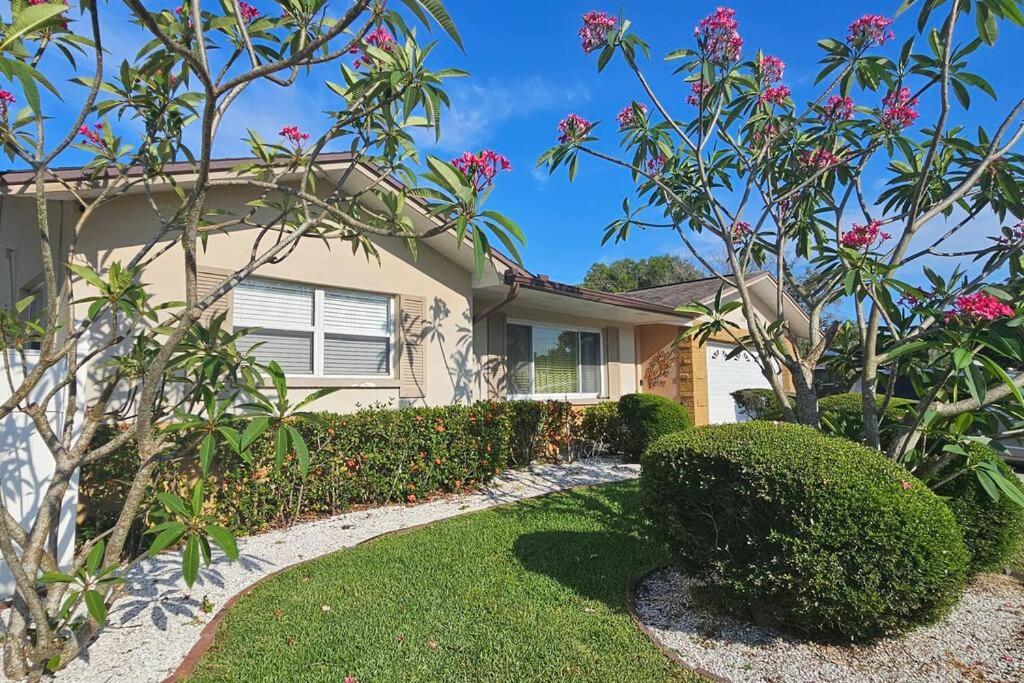 Cozy House Near The #1 Beaches in FL! view 5