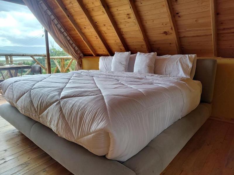 Glamping Guarupaque