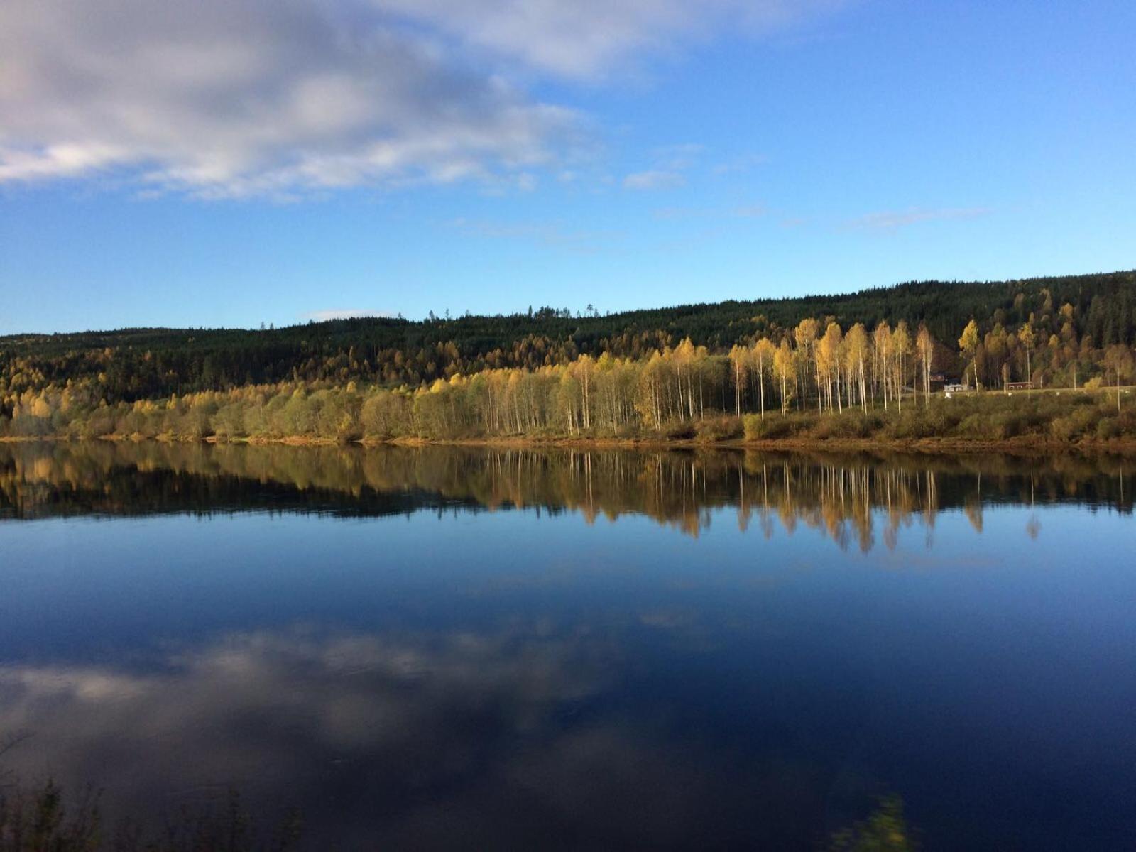 Liten stuga Klarälvdalen view 3