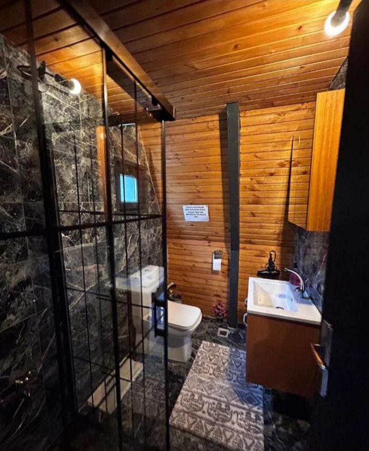 twins bungalow sapanca view 5
