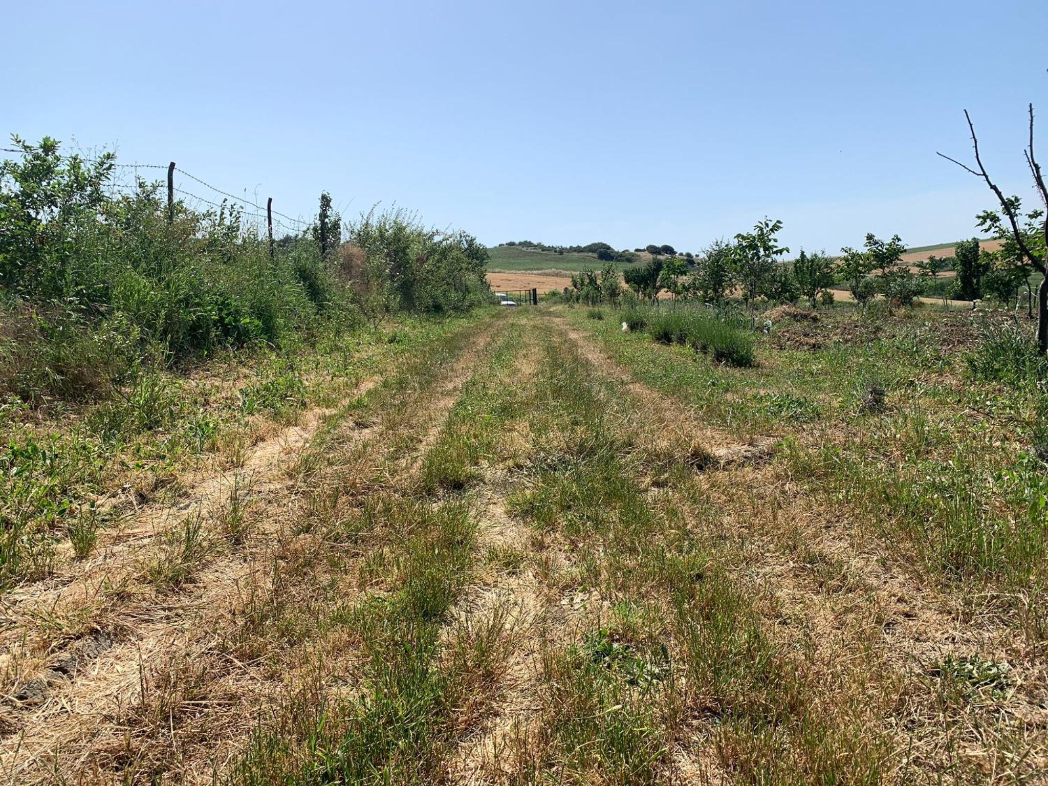 Photo 41