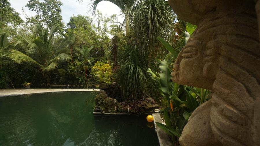 casa de los amigos caribena