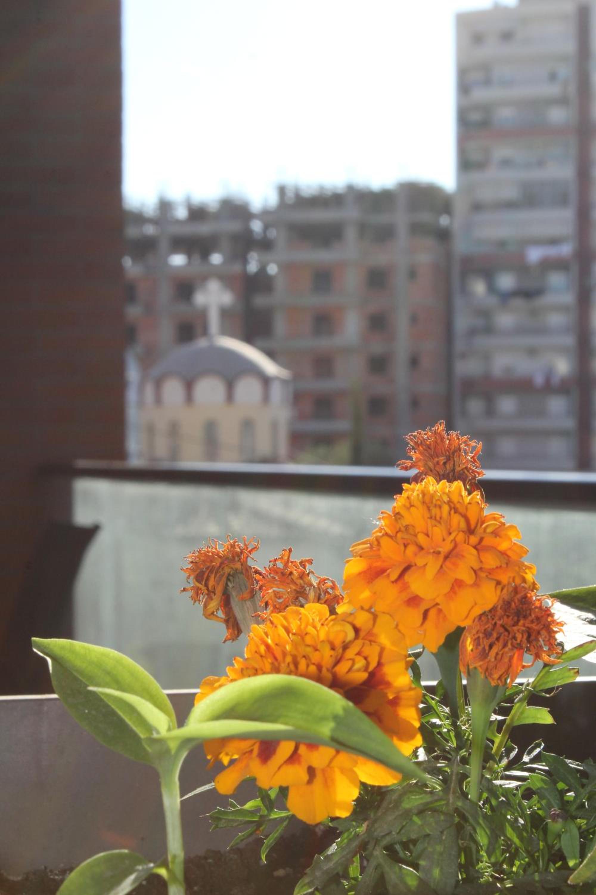 Osmenaj apartment