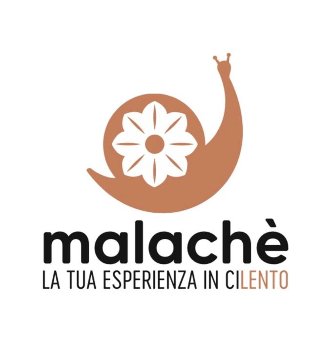 Malachè photo 2