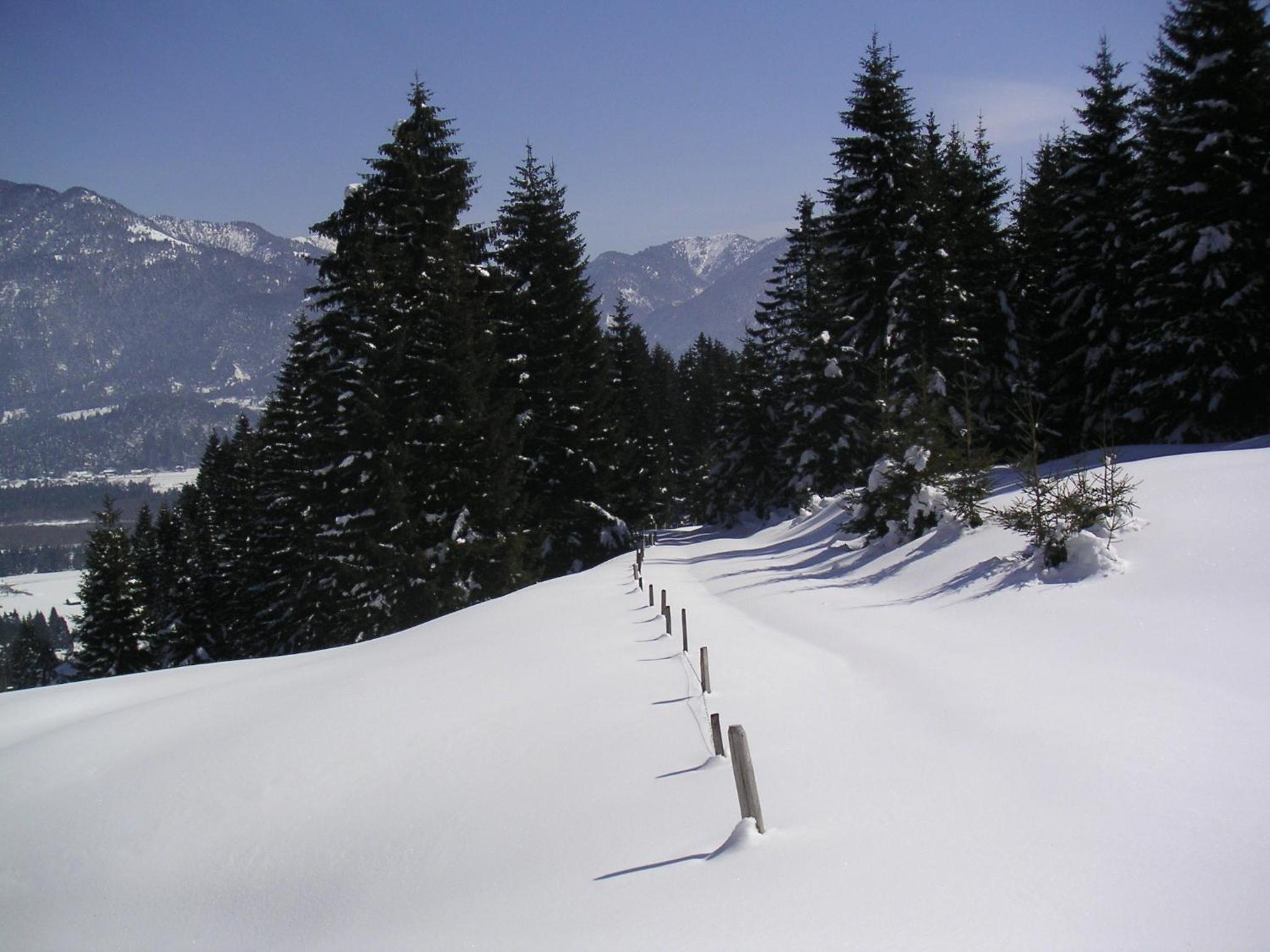 Photo 41