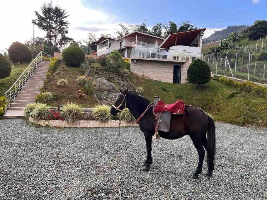 Amazing 5 bdrm Villa with view of Piedra el Peñol