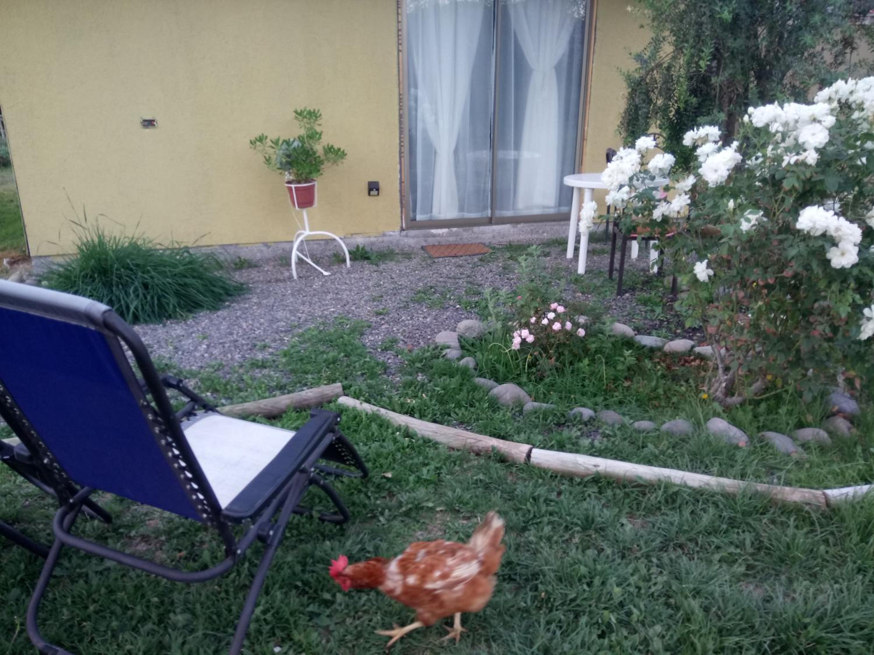 Hostal Isla Rural