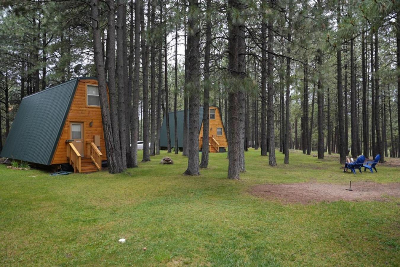 Rustic Cabin 2 - Two Bedroom view 2