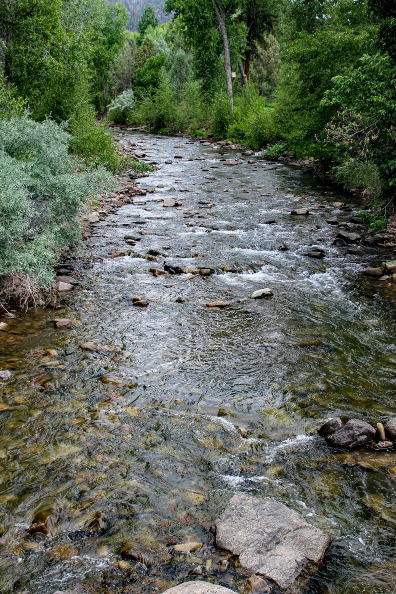 Photo 29