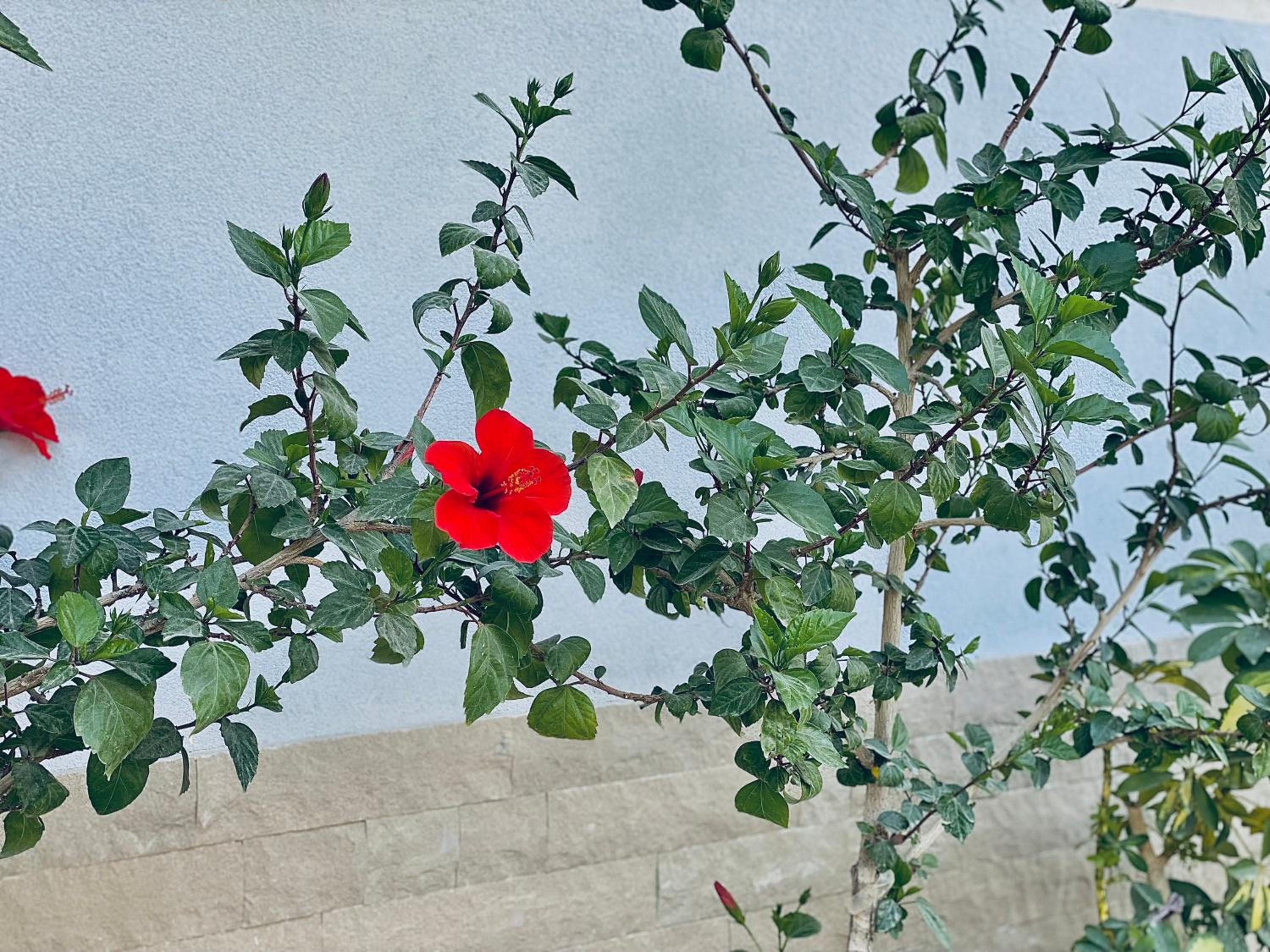 Holiday House Vlora