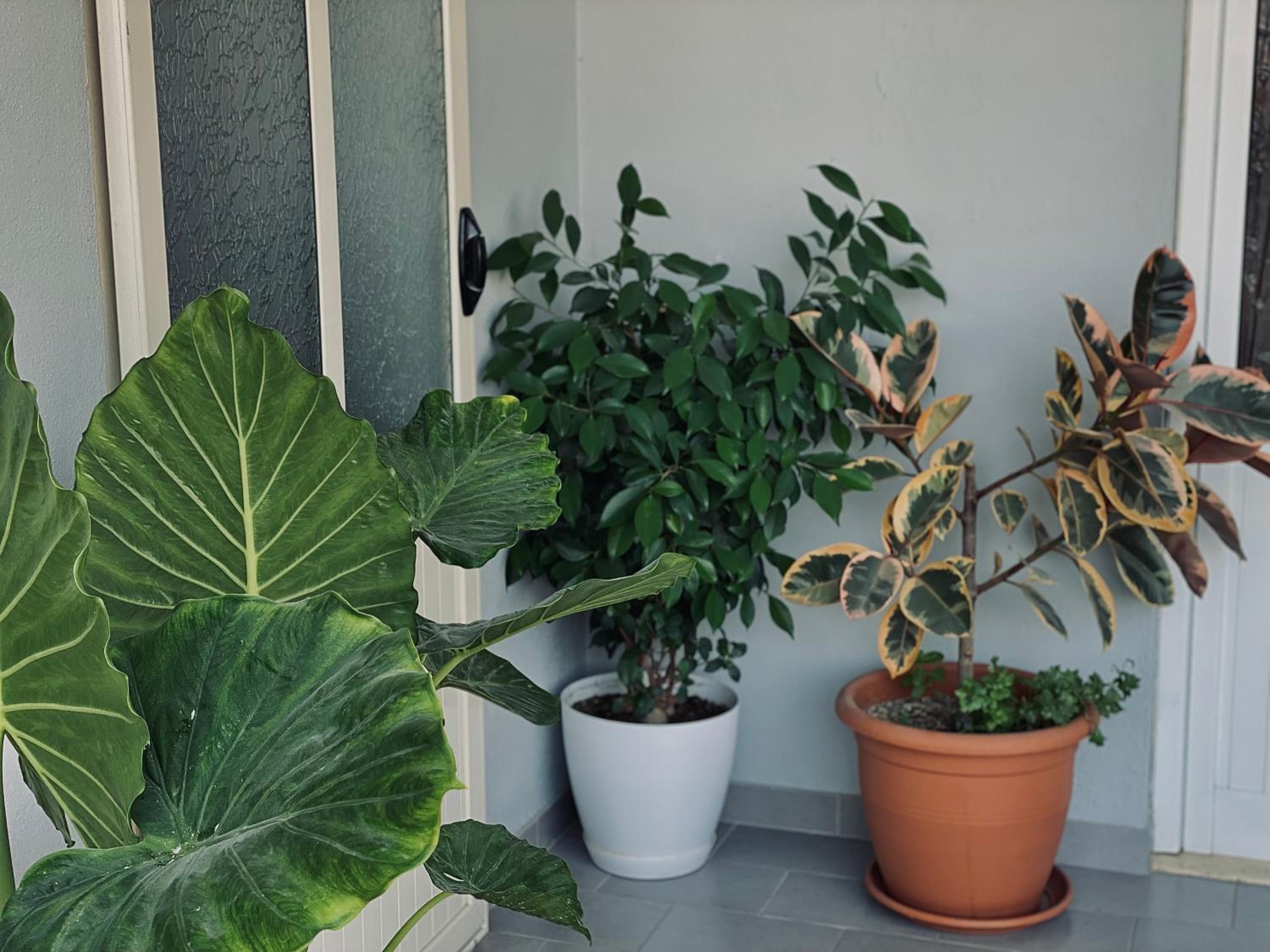 Holiday House Vlora