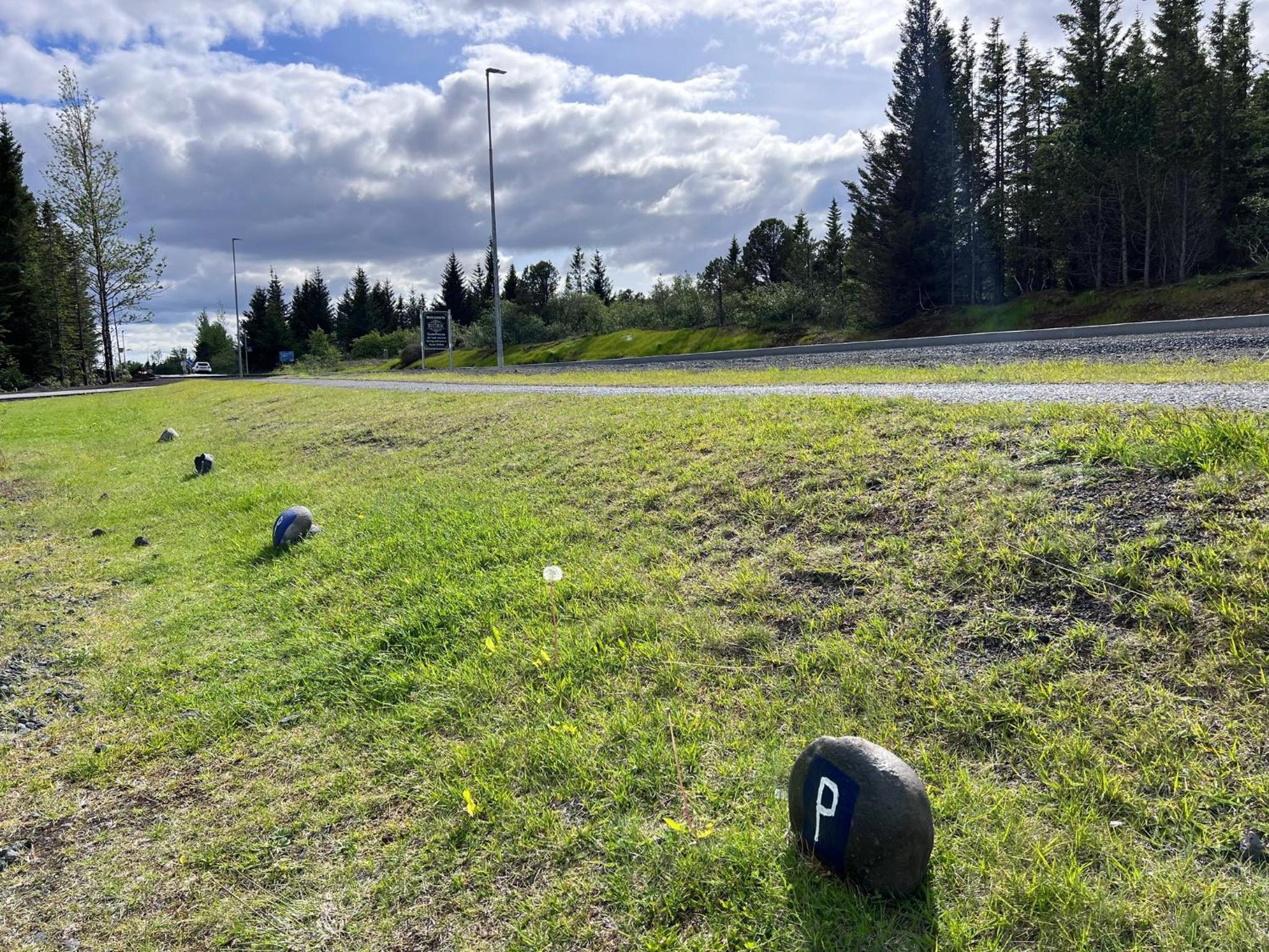 Photo 41