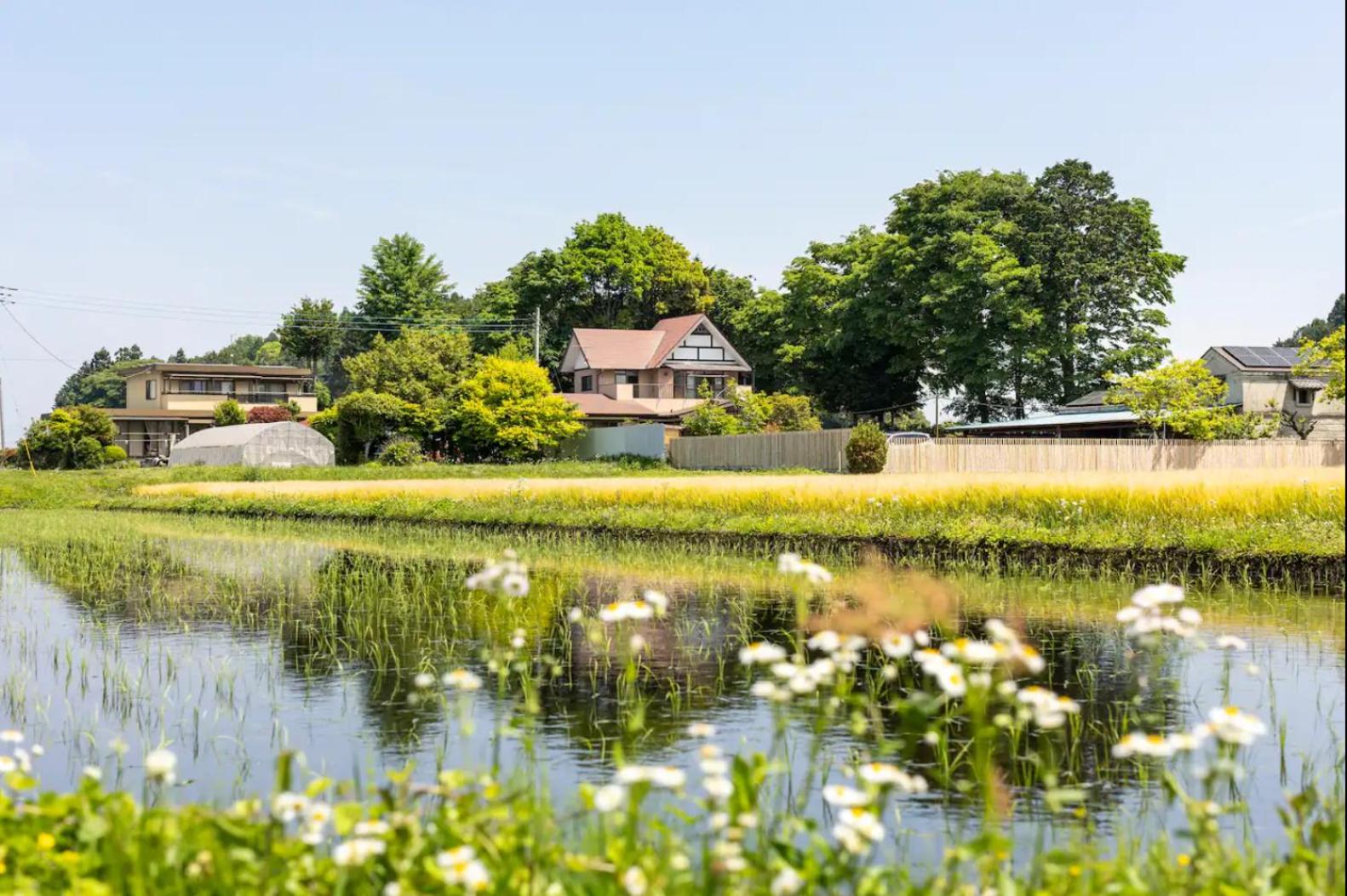 Scenic Rural Homestay near Nasu for Pet Lovers