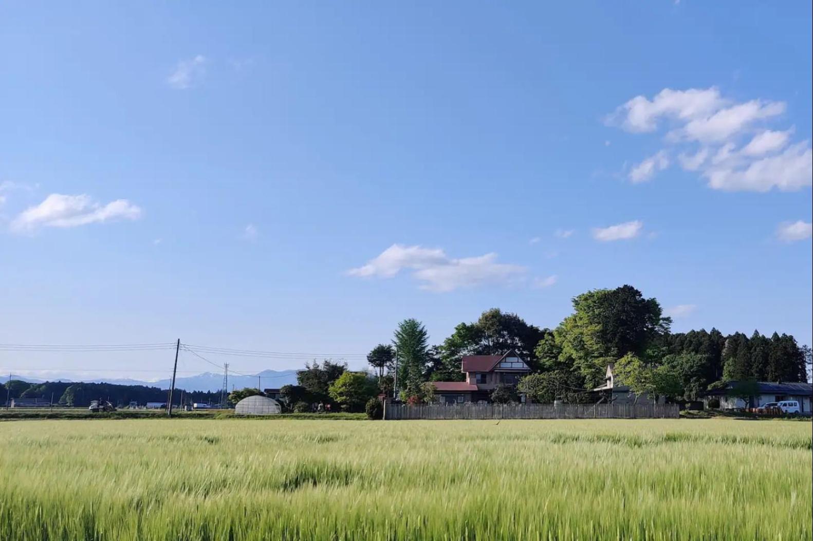 Scenic Rural Homestay near Nasu for Pet Lovers