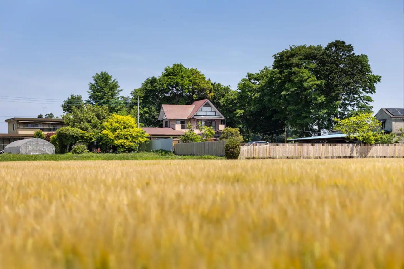Scenic Rural Homestay near Nasu for Pet Lovers