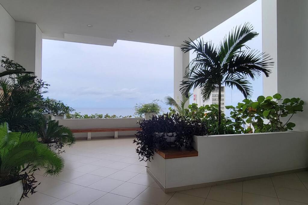 Stunning Infinity Pool, Balcony, steps from Walled City & Marbella Beach