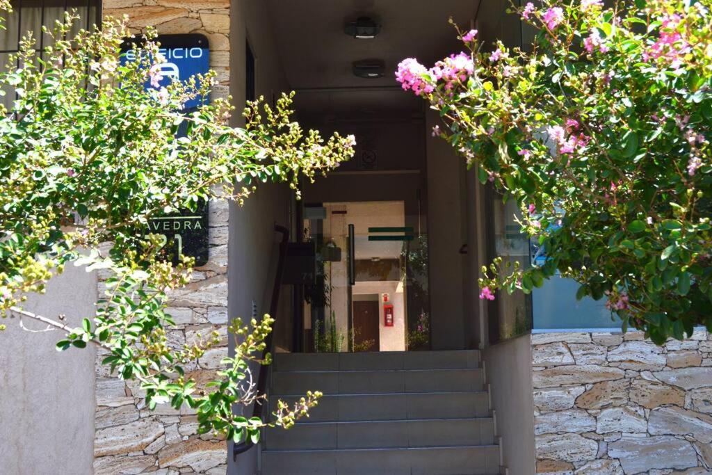 Avellanos