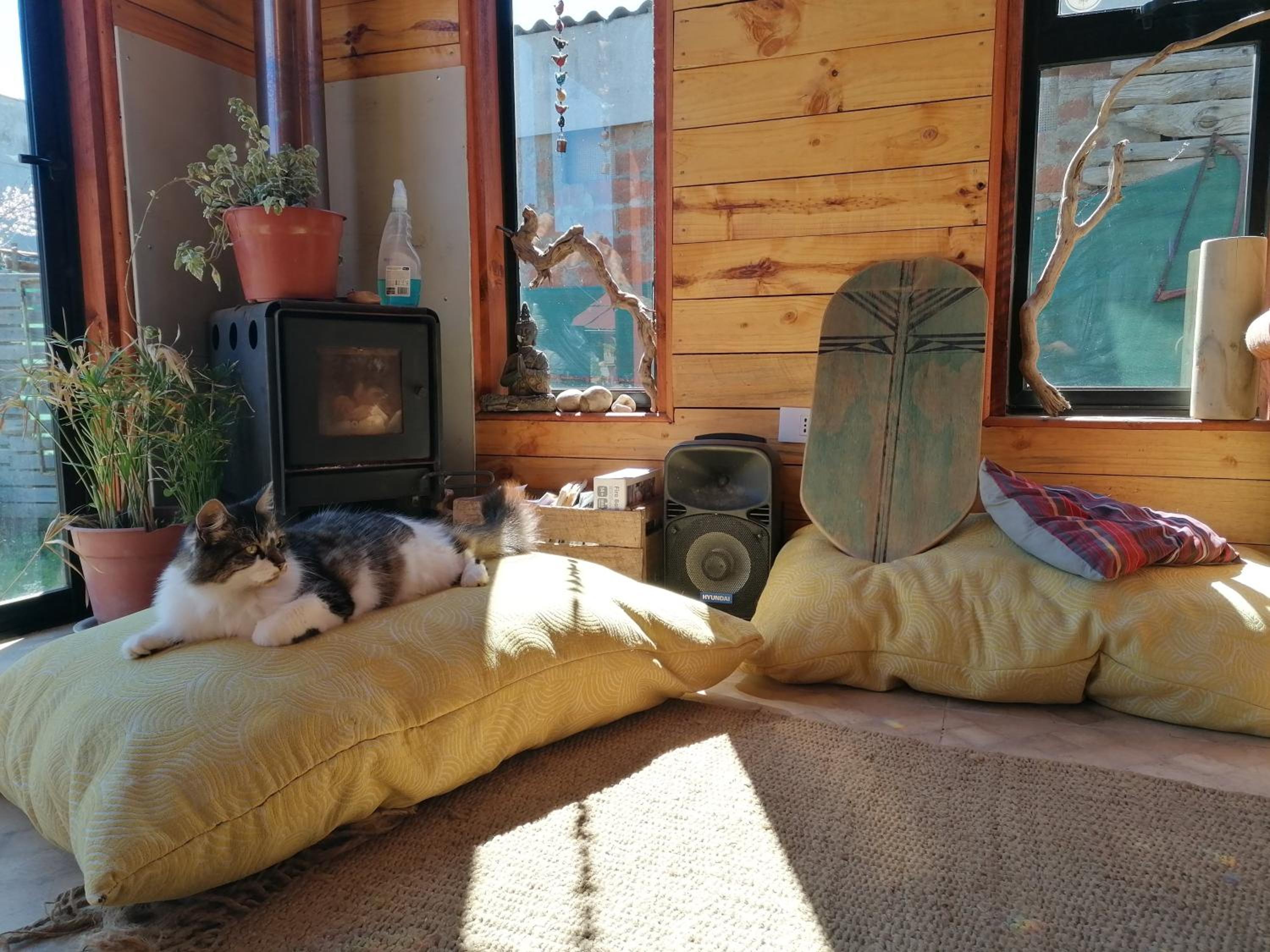 Casacipres Surf&climb Hostal