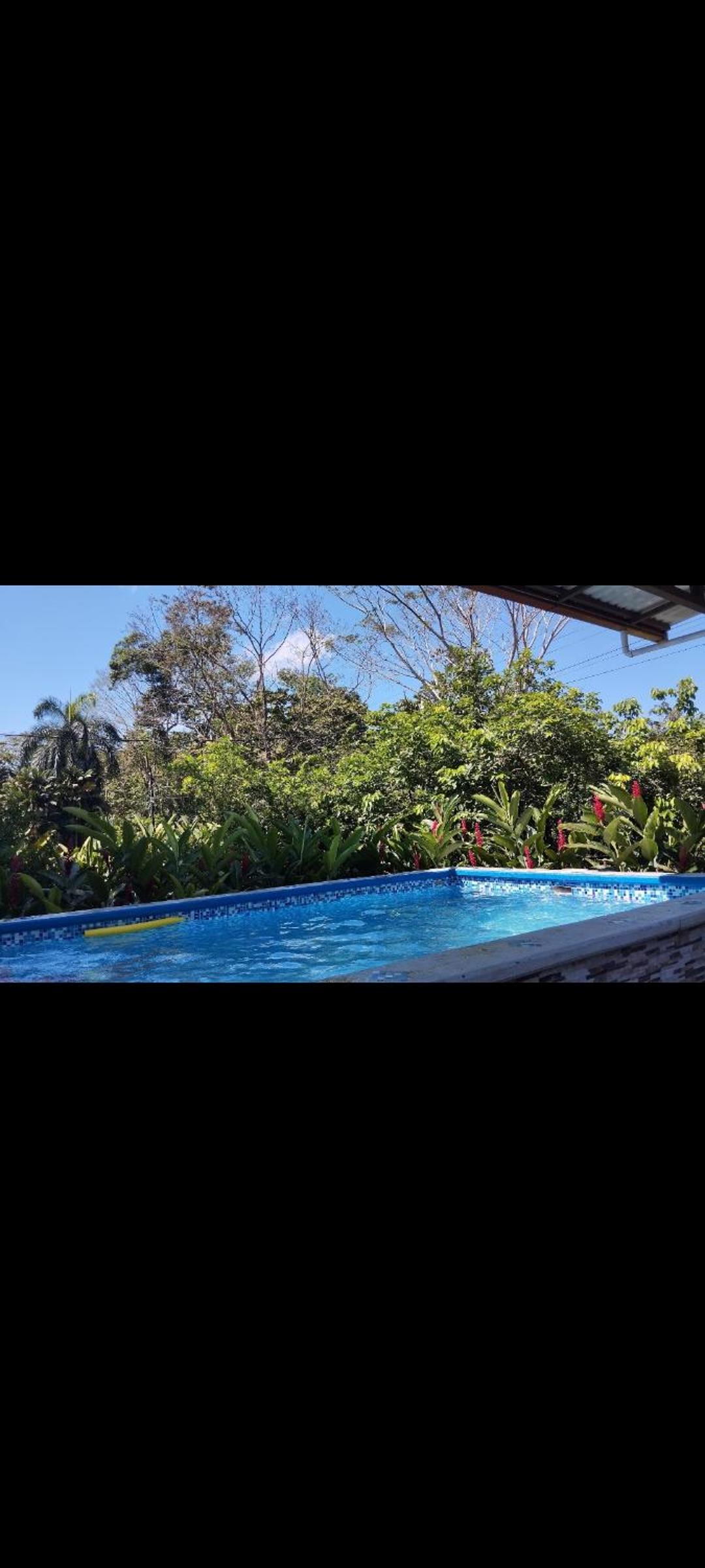 Quinta Yami