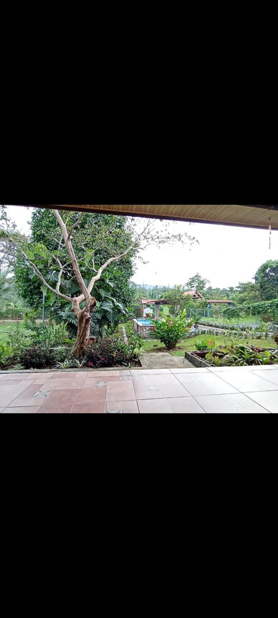 Quinta Yami