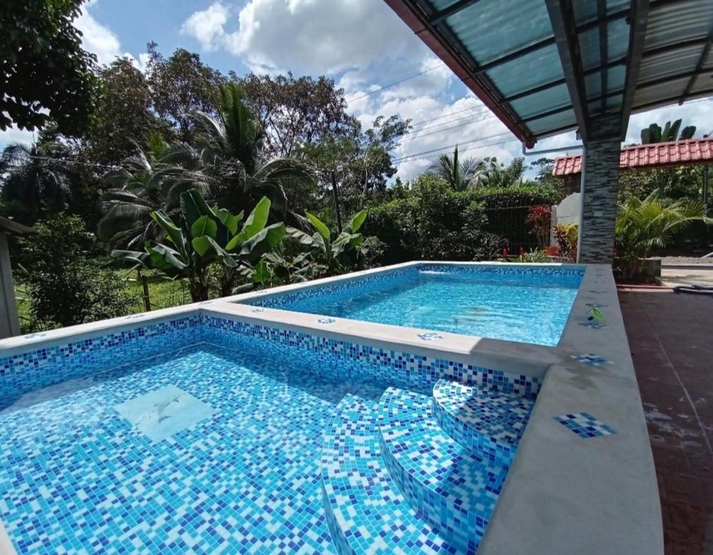 Quinta Yami