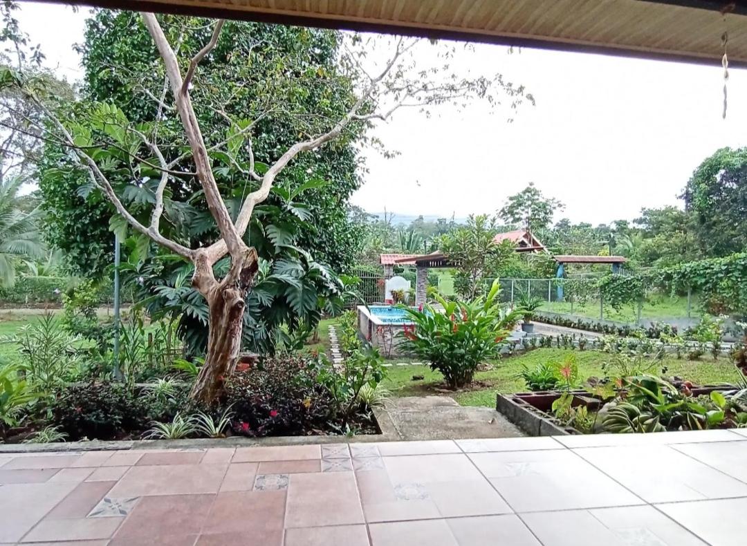 Quinta Yami