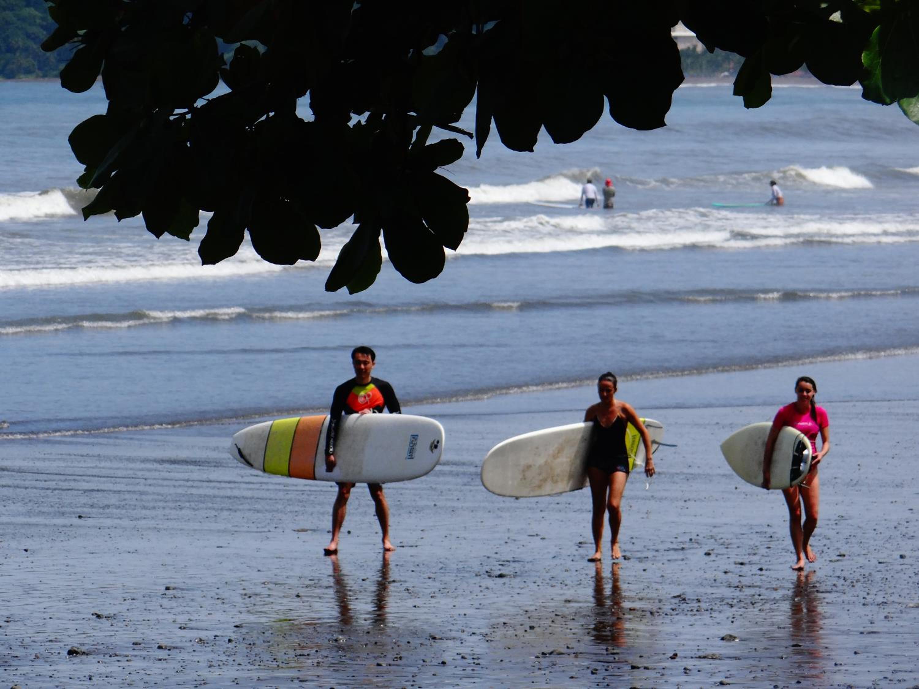 Jaco Surf Beachbungalow