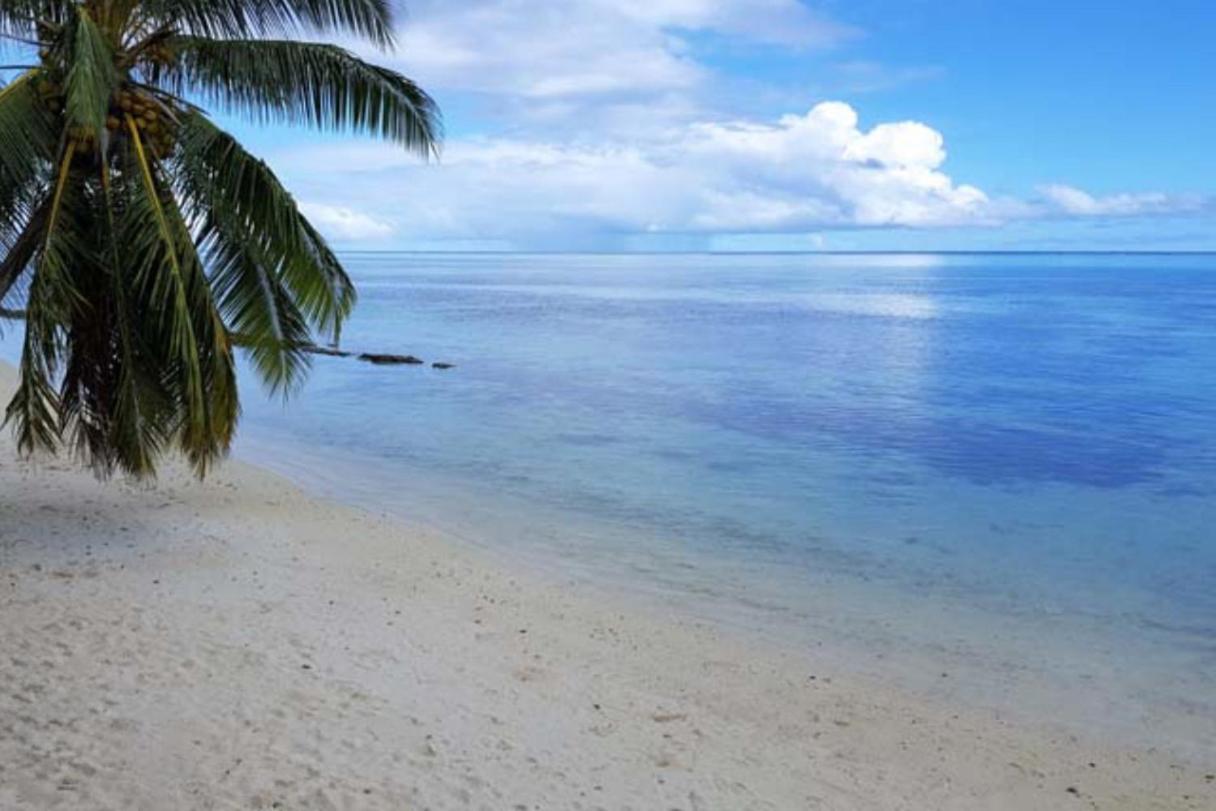 Te Fiti Lodge