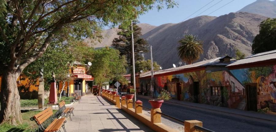 Quinta Emilia - Paihuano - Elqui Valley