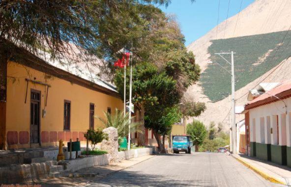 Quinta Emilia - Paihuano - Elqui Valley