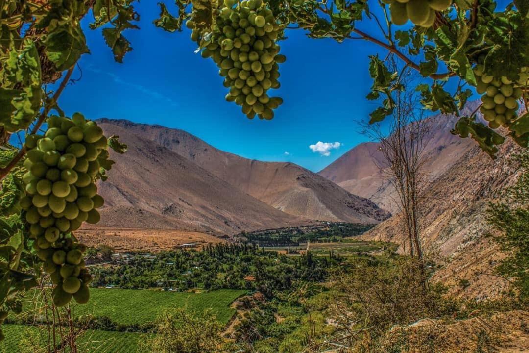 Quinta Emilia - Paihuano - Elqui Valley