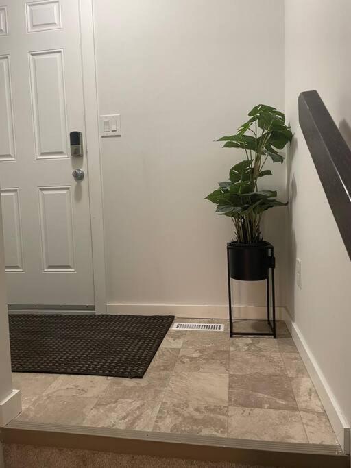 Tanager Place