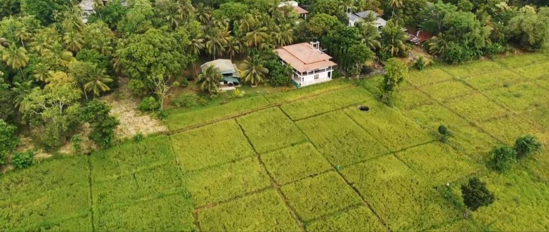 Hotel Sigiriya Paradise Inn - Image 1