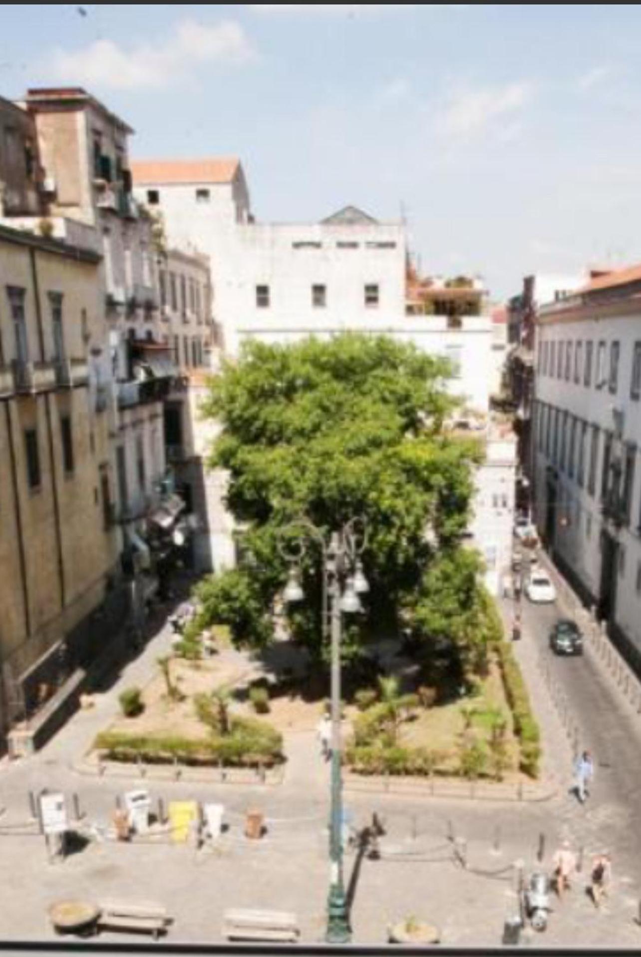 Diego House Duomo